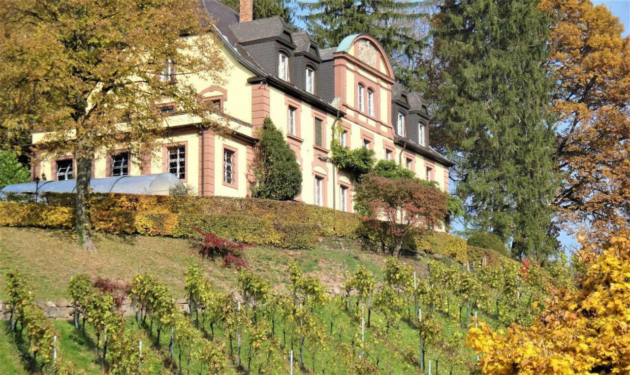 Wein Lodge Durbach - Josephsberg Exteriér fotografie